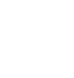 Program Management and Professional Services